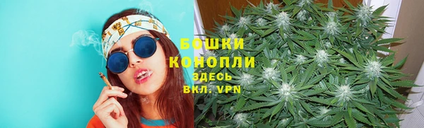 гидра Медногорск