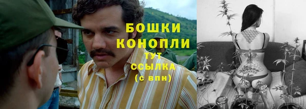 гидра Медногорск