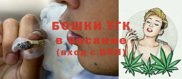 гидра Медногорск