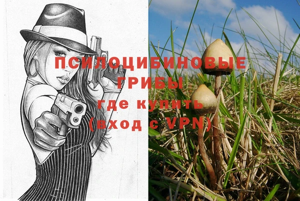 дживик Медвежьегорск