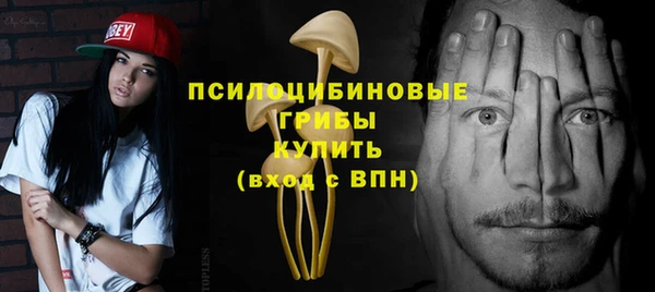 гидра Медногорск