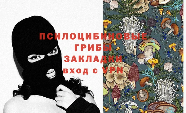 дживик Медвежьегорск