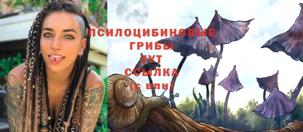 дживик Медвежьегорск