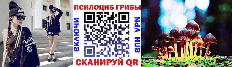 Купить закладки  Кропоткин  Псилоцибиновые грибы MAGIC MUSHROOMS 